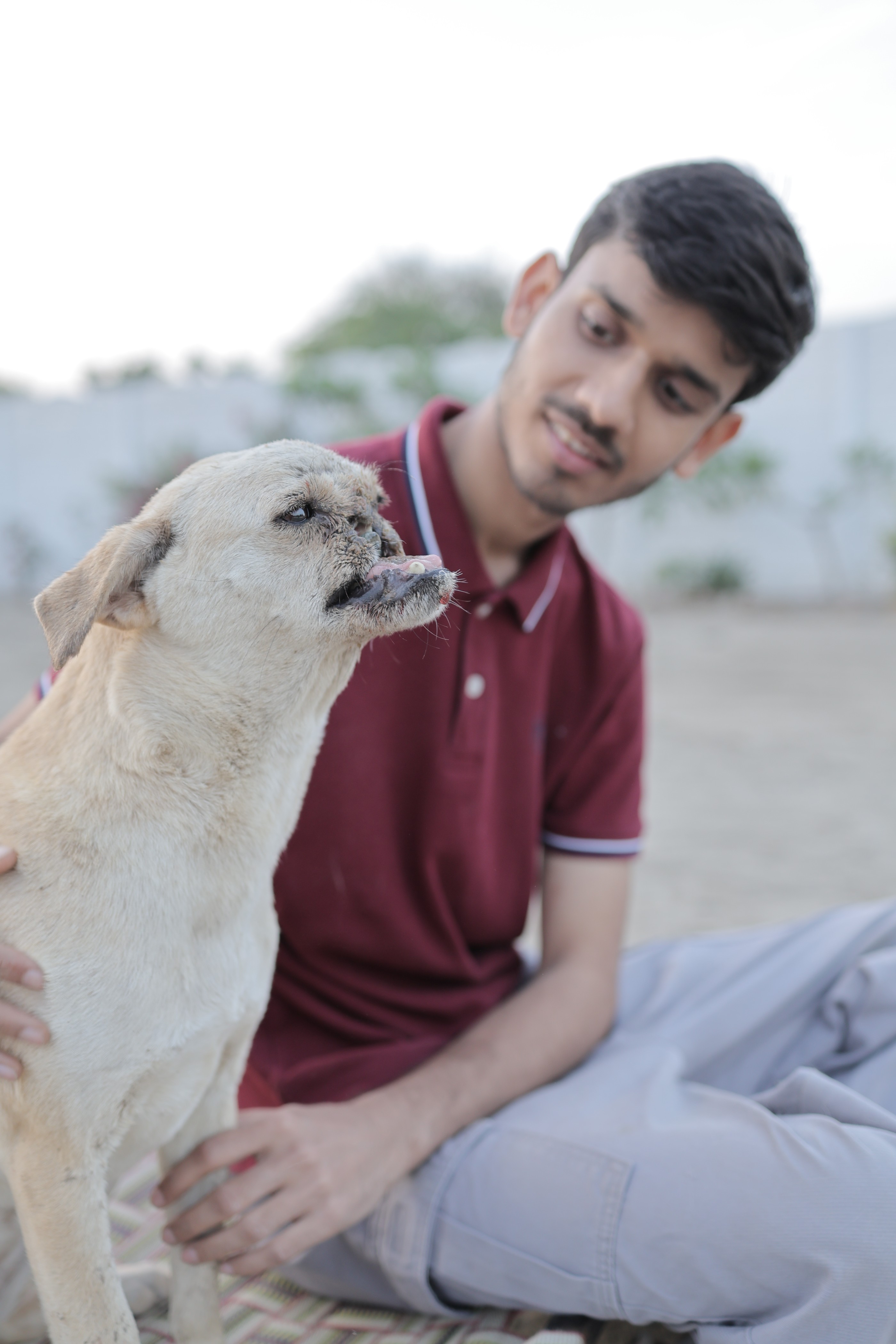 Dog Care - Aashiyana Animal Sanctuary