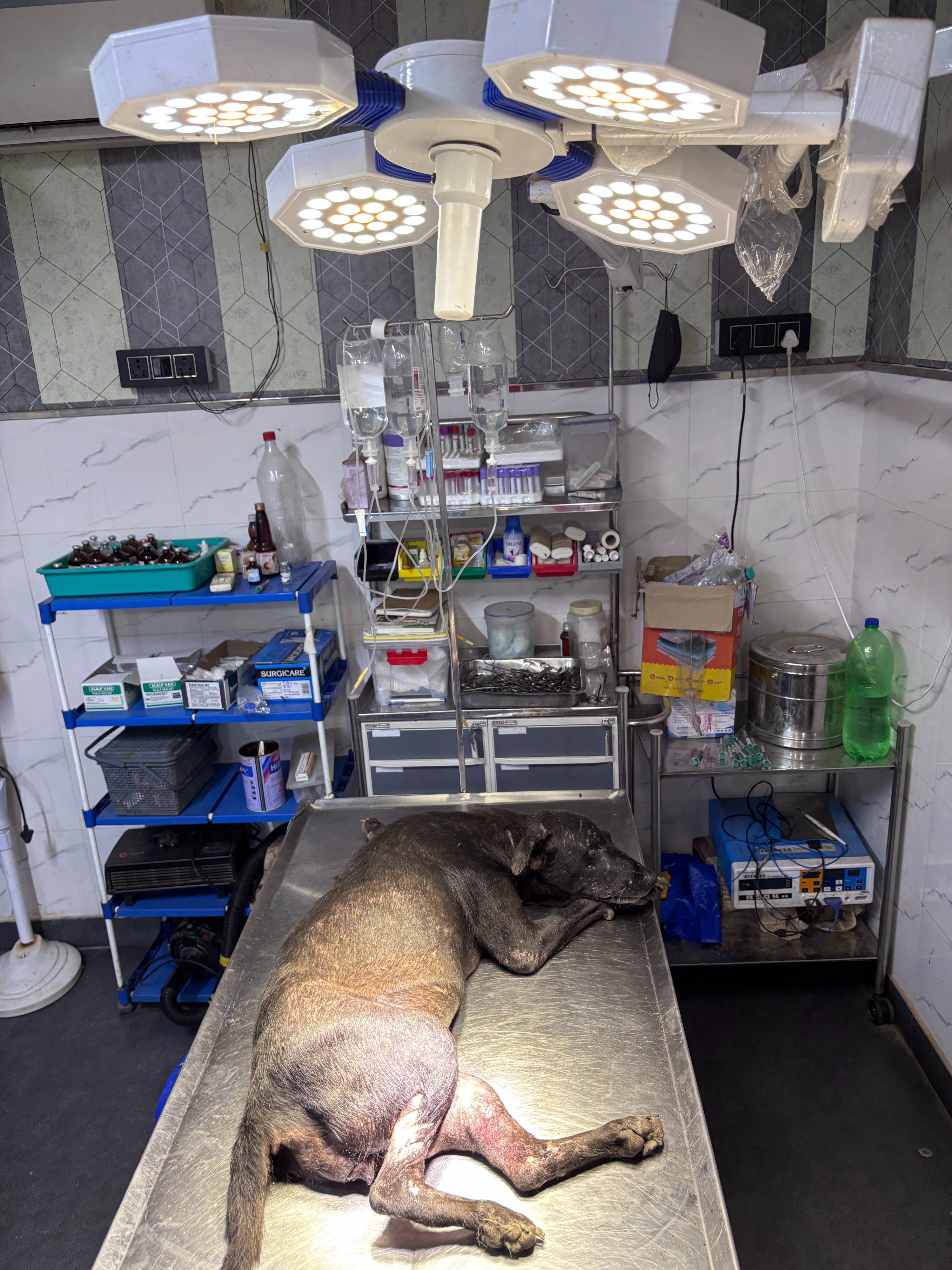 Critical Medical & Shelter Care