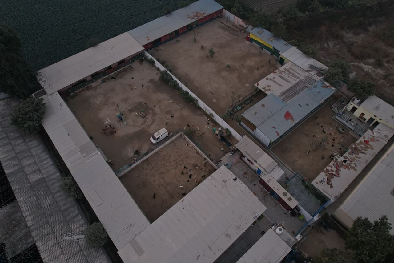 Aashiyana Animal Medical Facility