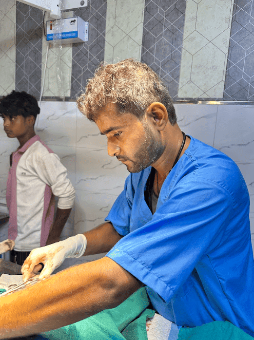 Emergency street animal rescue operation
