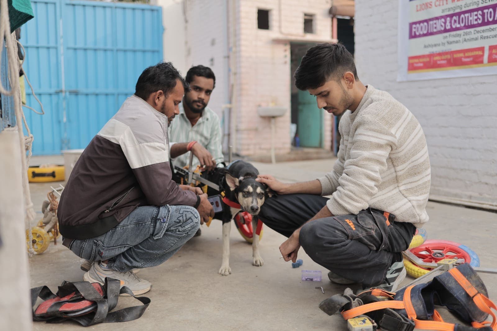 Sanctuary team offering daily affection and comfort