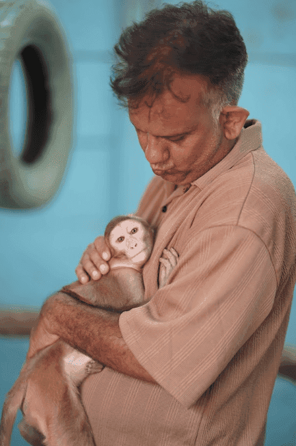 Injured dog rehabilitation and therapy