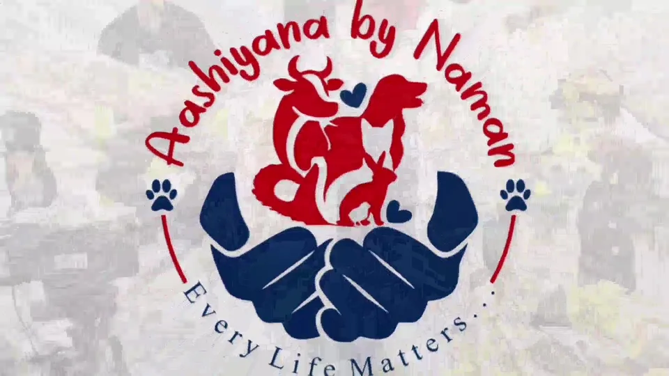 Aashiyana Animal Sanctuary